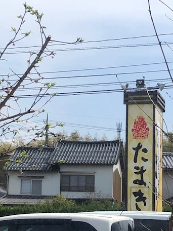 花見7