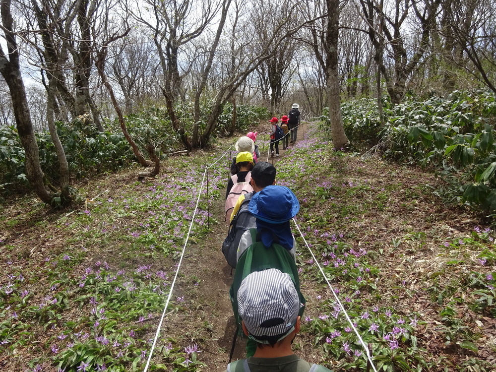 船通山