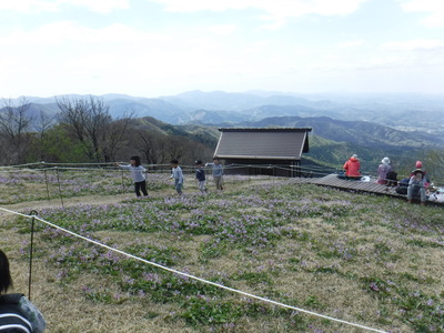 船通山かたくり２