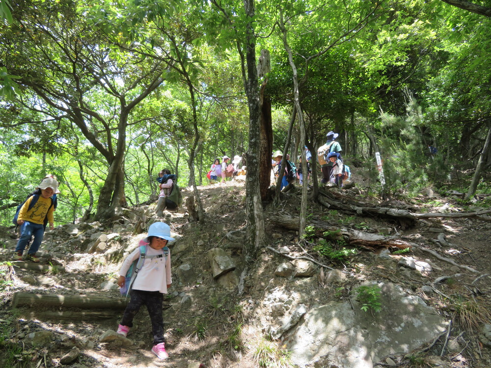 山登り