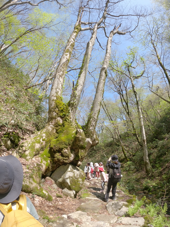 船通山５