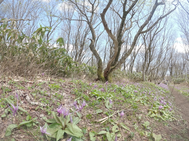 船通山９