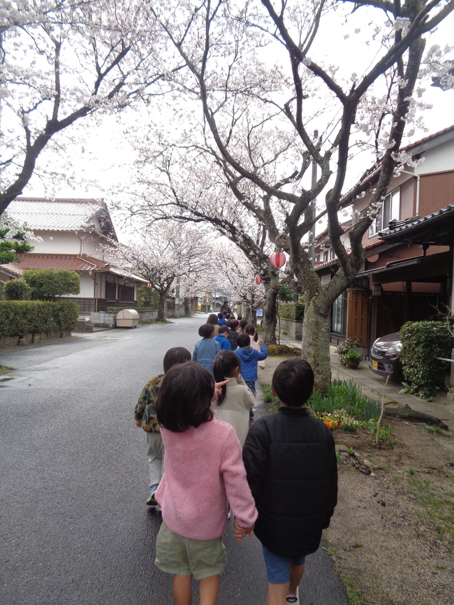 桜4