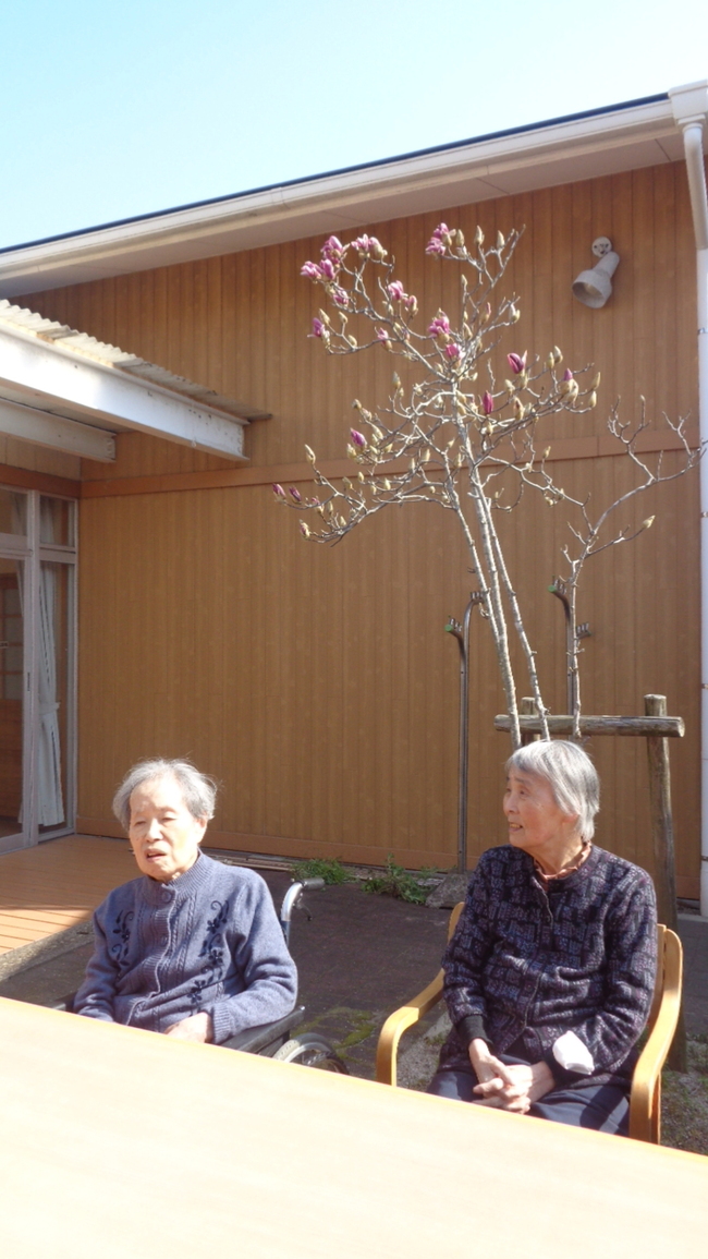3_春ですねぇ・・・